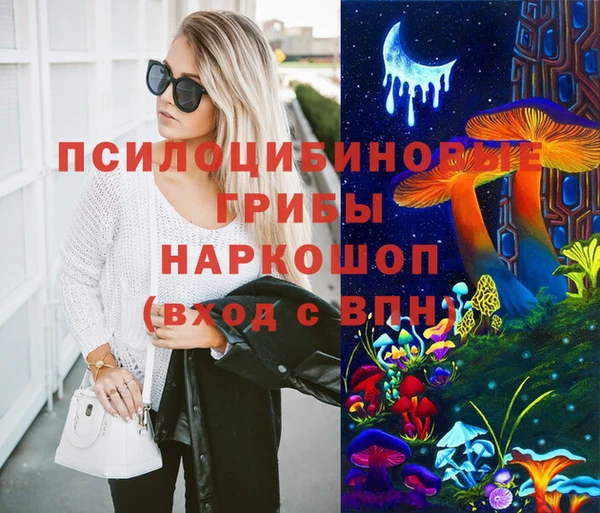 прущие грибы Алзамай