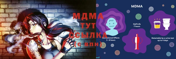 прущие грибы Алзамай