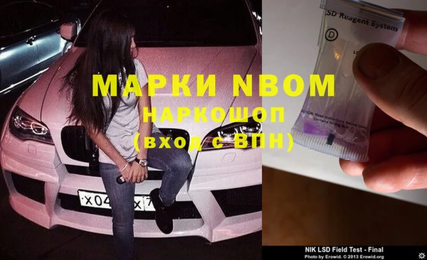 гидра Алексин