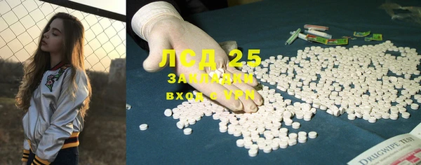прущие грибы Алзамай