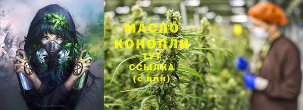 прущие грибы Алзамай