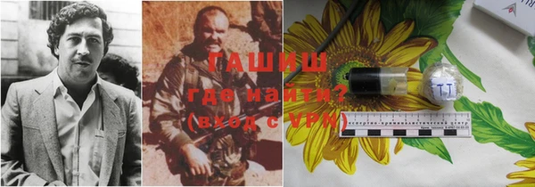 гидра Алексин