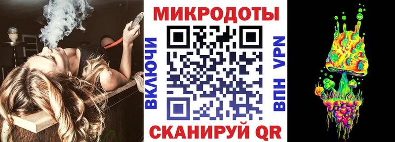 Галлюциногенные грибы Psilocybe Приволжск
